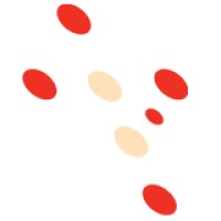 Catholic Social Services Victoria (CSSV) Logo