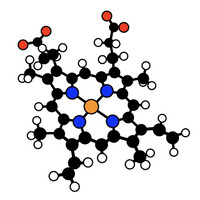 Biochemistry Literacy for Kids Logo
