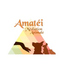 Association AMATEI Logo