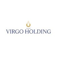 Virgo Holding srl Logo