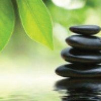 Stepping Stones Counselling and Psychotherapy Limited Logo