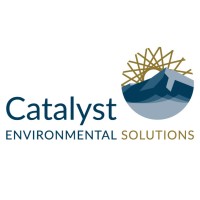 Catalyst Environmental Solutions Corporation Logo