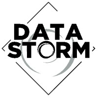 Data Storm Ltd. Logo