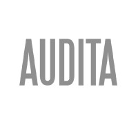 UAB Audita Logo