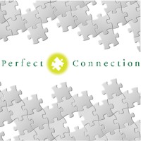 Perfect Connection Co., Ltd. Logo