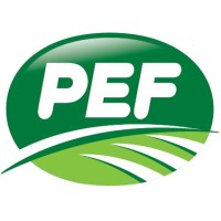 PEF Srl Logo