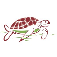 Green Turtle Gaming Technologies Pvt Ltd Logo