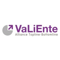 VaLiEnte Invest Logo