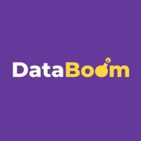 DataBoom.kz Logo