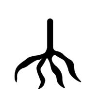 Mandioca Studio Logo