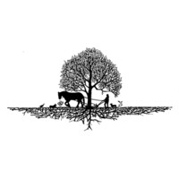 Connecting To Roots Logo