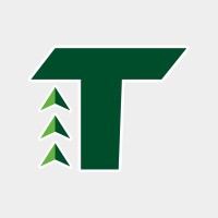 Terris Tecnologia Logo