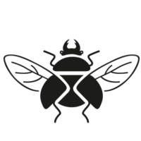 Insecta Shoes Logo