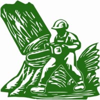 Bomen Beterams bv Logo