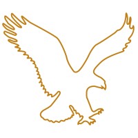 Solution Professional Consulting Logo