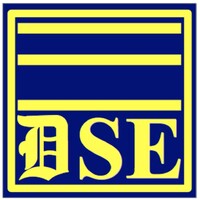 Detection Systems and Engineering Logo