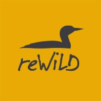 reWiLD Logo