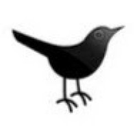 BlackBirdConnect, LLC Logo