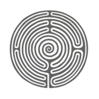 Walk Your talk - Executive health coaching Logo