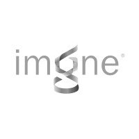 Imagine Intelligent Materials Logo
