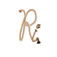 Refratex India Logo