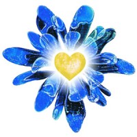 Heart and Lung Transplant Foundation of WA Inc. Logo