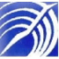 Catapult Management Resources Pvt Ltd. Logo