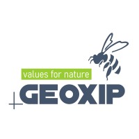 GEOXIP AG Logo