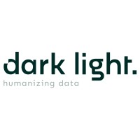 Dark Light - data & BI consultancy Logo
