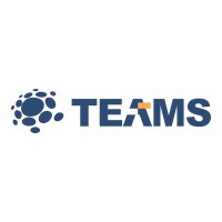 Teams Solutions LLP Logo
