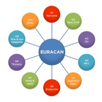 Euracan Logo