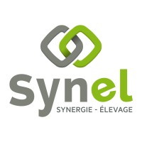 Synel Logo