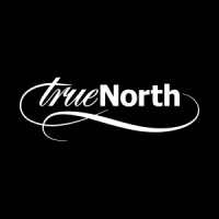 True North | Independent Brand Design Consultancy Logo