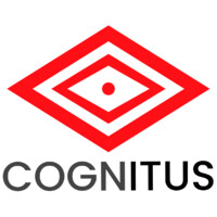 Cognitus Consulting Czechia s.r.o. Logo