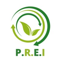 Professional Renewable Energy Institute Logo