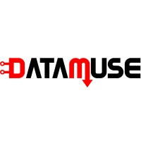 DataMuse Africa Logo
