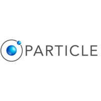 PARTICLE SUMMARY Logo