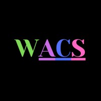 Web AI Consultancy Solution Logo