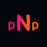 pingNpay Logo
