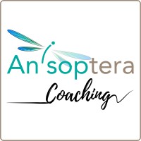 Anisoptera Coaching Logo