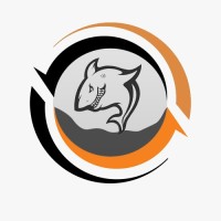 MyndMegs IT Solutions Logo