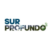 Sur Profundo Logo