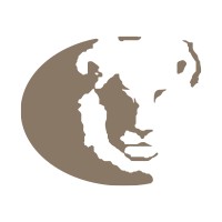 Zonta Contabilidade Logo
