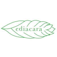 Ediacara Consulting Logo