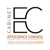 Cabinet Efficience Conseil Logo