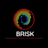 Brisk Media Logo