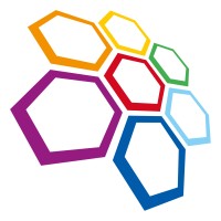 DIGITAL VISION GROUP Logo