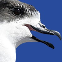 Le Pétrel Blanc Logo
