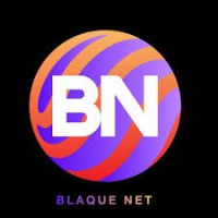 Blaque Net Logo