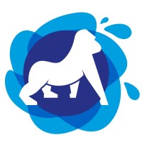 cleankong.be Logo